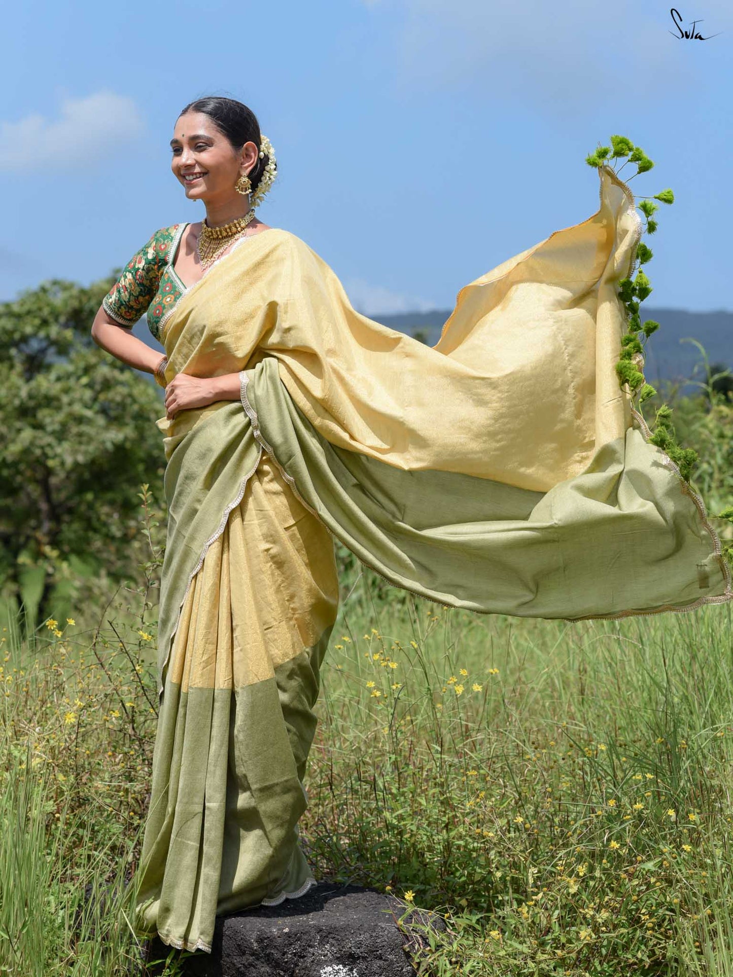 SUTA - Dipped in Pistachio Cotton Acrylic Saree