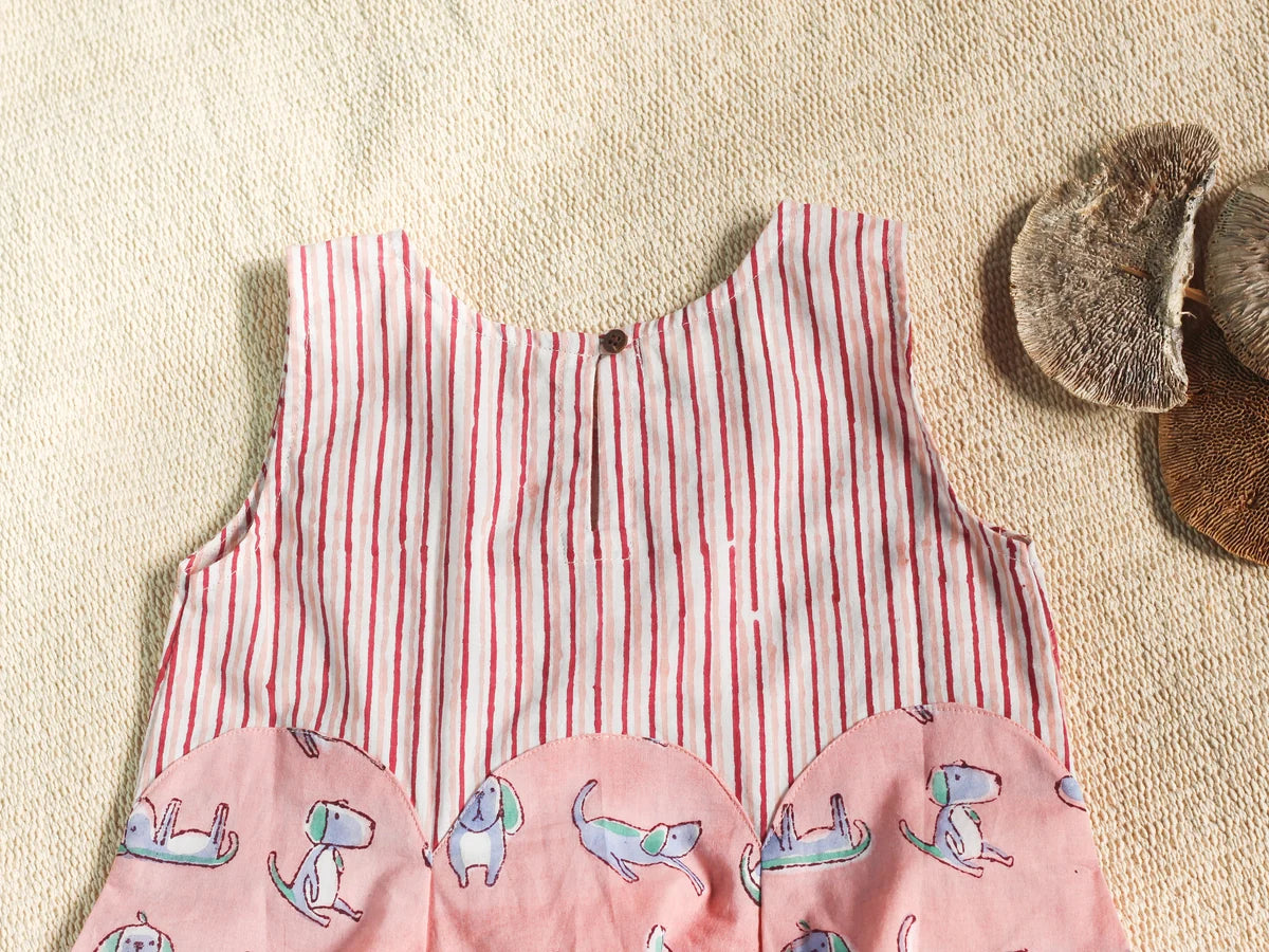Chhapa - Peach Dog Dress