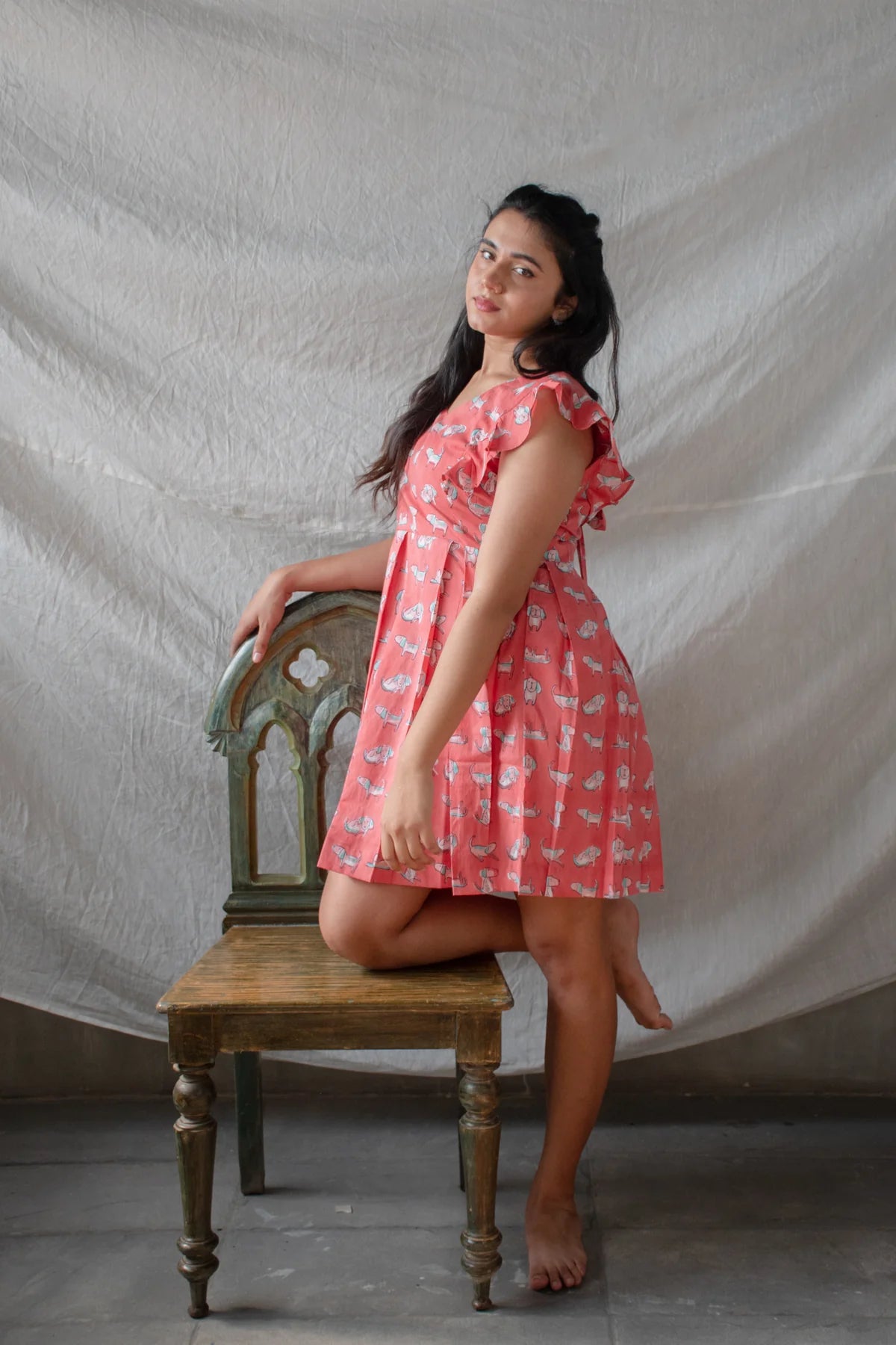 Chhapa - Pawfect Day Dress